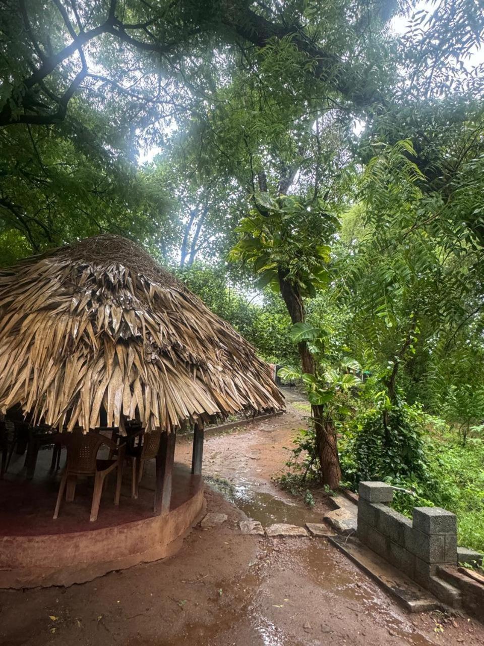 Sradha Farm - *